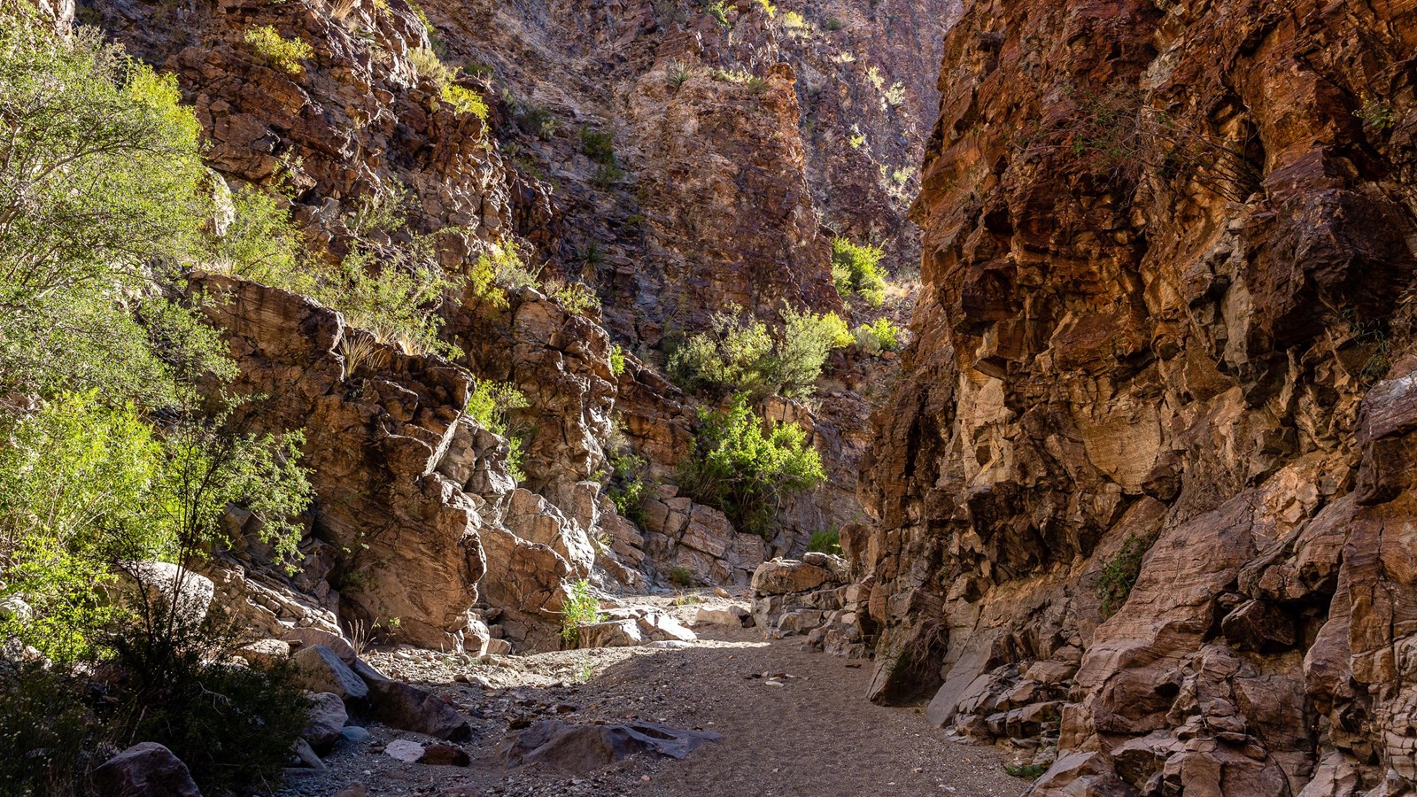 The trail follows a sandy wash through steep canyon walls.