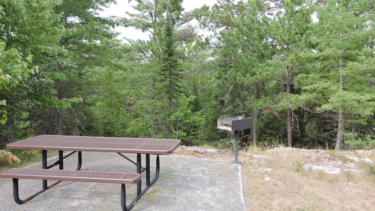 A picnic table and raised charcoal grill in front of trees