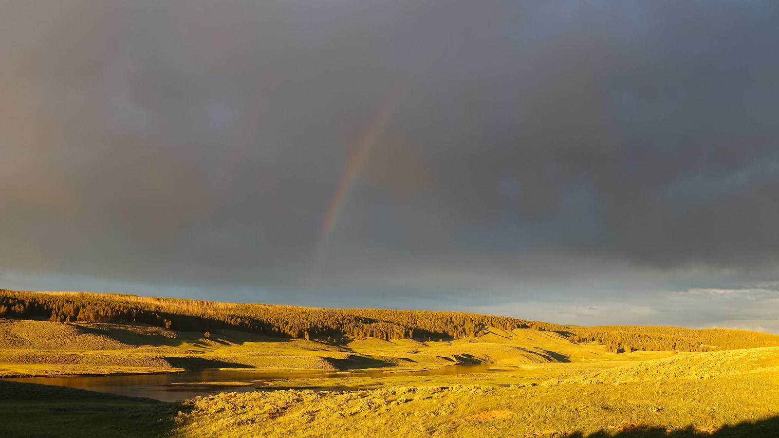 Golden light illuminates the grasses in a valley and casts a rainbow in the clouds.
