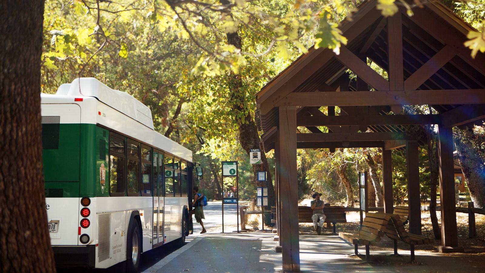 Bus at stop with covered shelter and benches