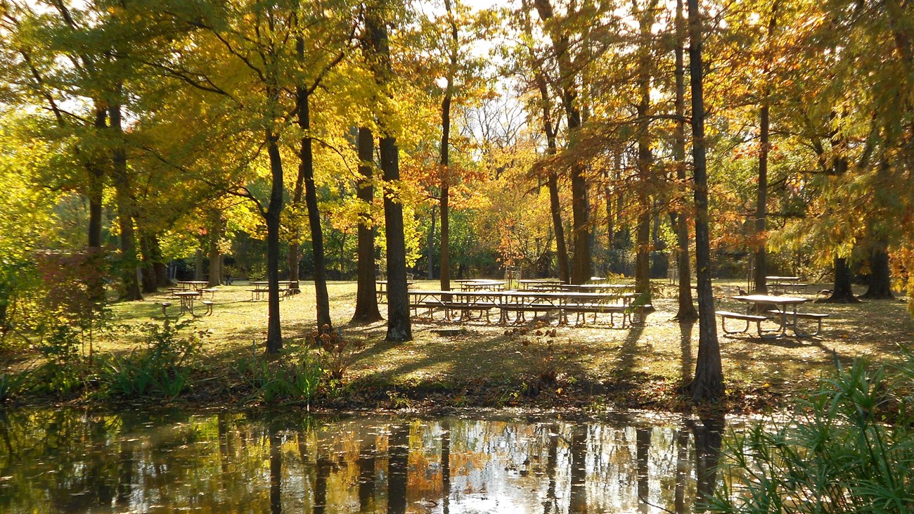 Picnic tables are available throughout the park