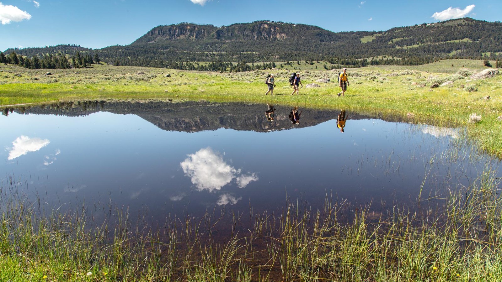 Three people hike past a pond in a meadow with a forested mountain in the distance.