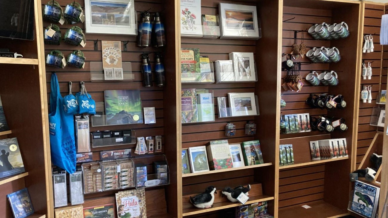 A bookstore with shelves of books, bottles, and plush animals