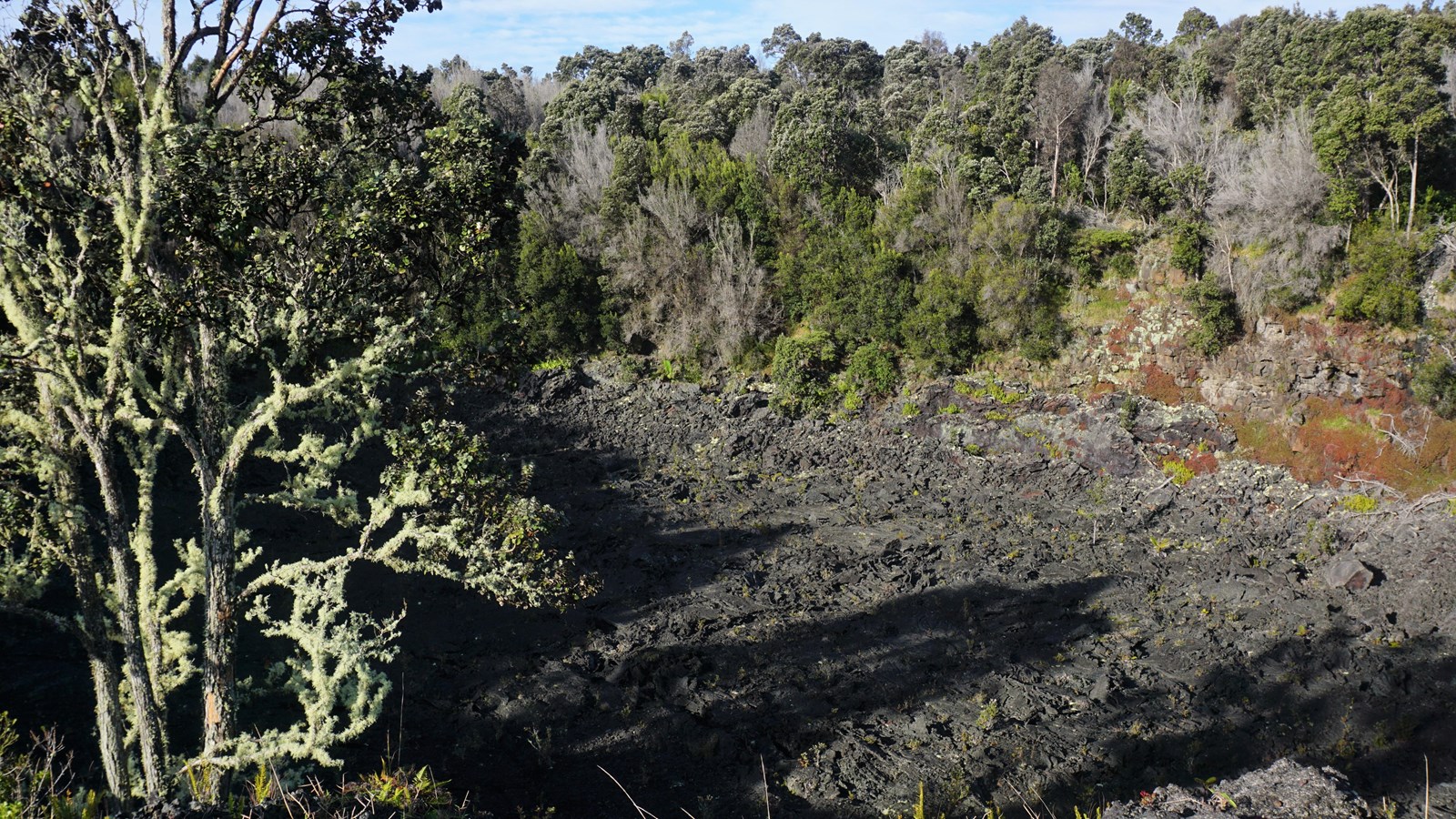 Volcanic crater with barren bottom surrounded by forest