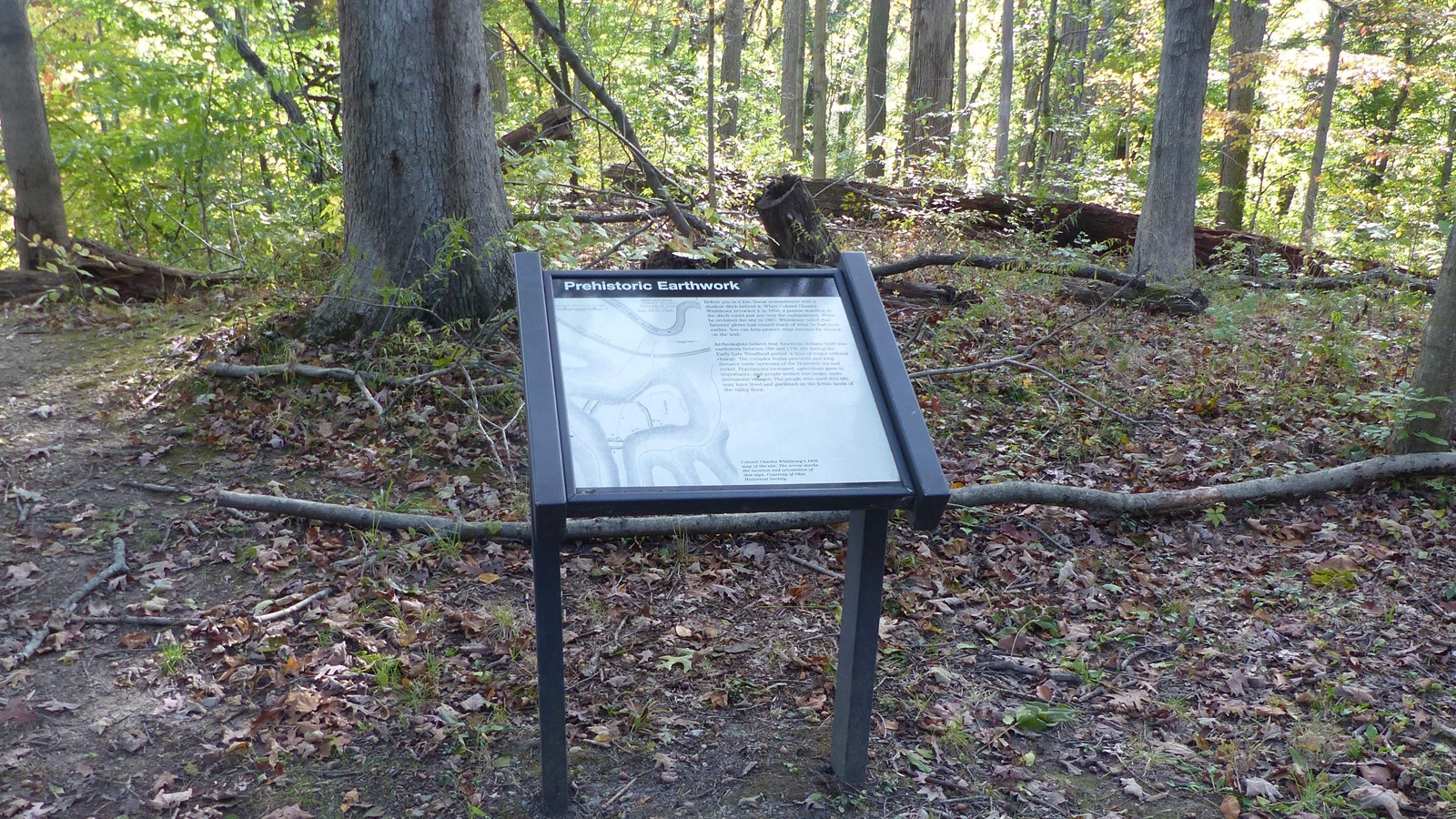 In a forested area an informational sign in brown metal frame; title reads 