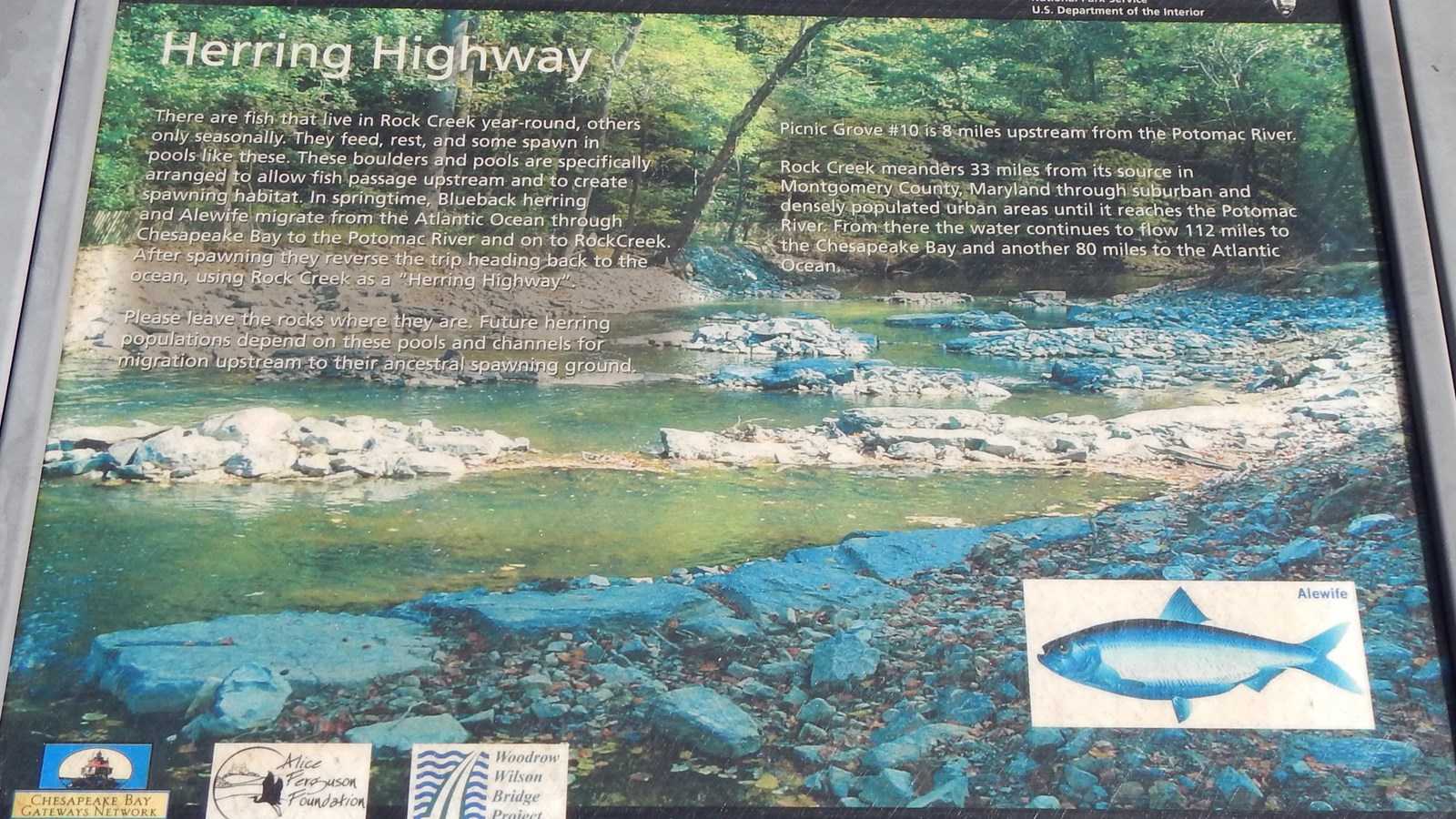 Information Panel: Herring Highway- Picnic Grove 10 (U.S.