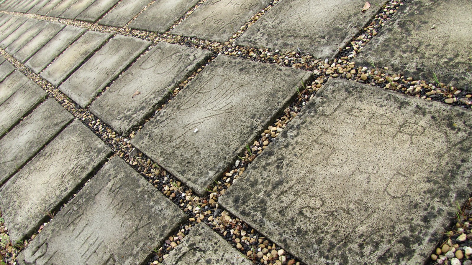 Concrete squares, each with a different signature, sit in three rows getting smaller in the distance