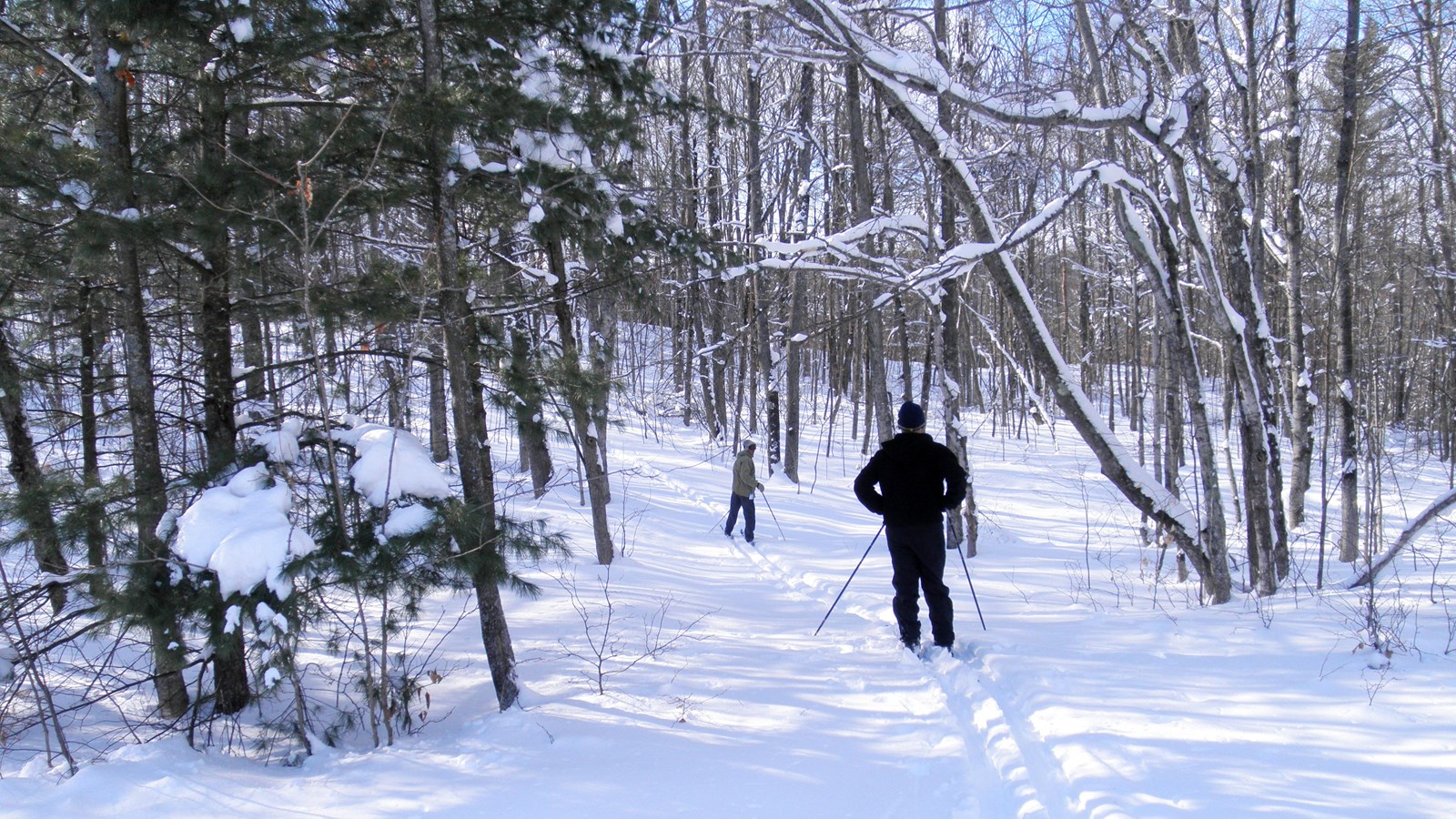 Two skiers make a trail through snow covered woods