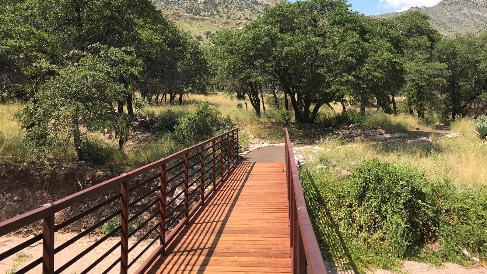 Wood plank bridge with metal railings spanning the dry creek bed below.