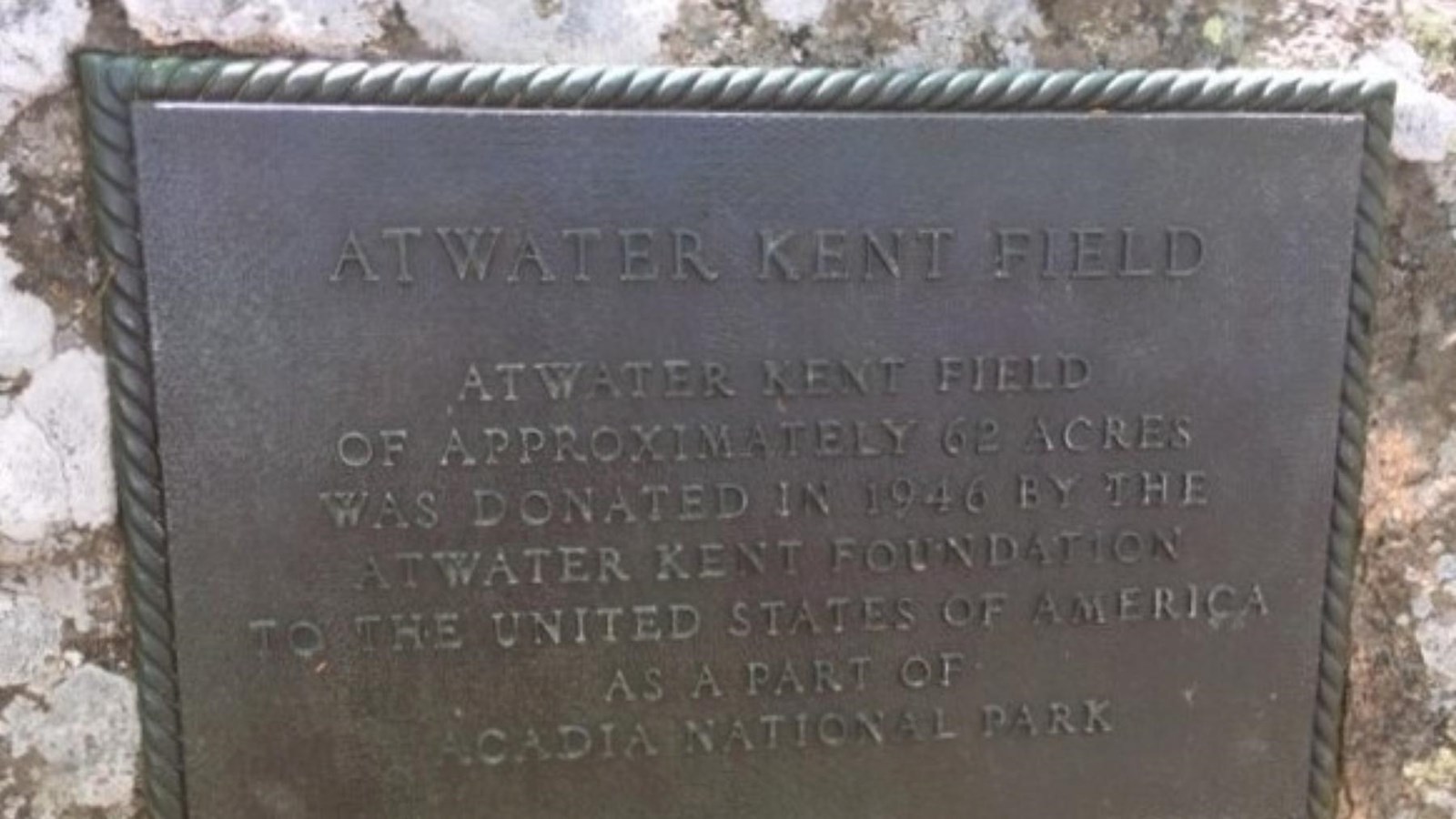 Bronze memorial plaque with inscription on a granite rock covered in lichen