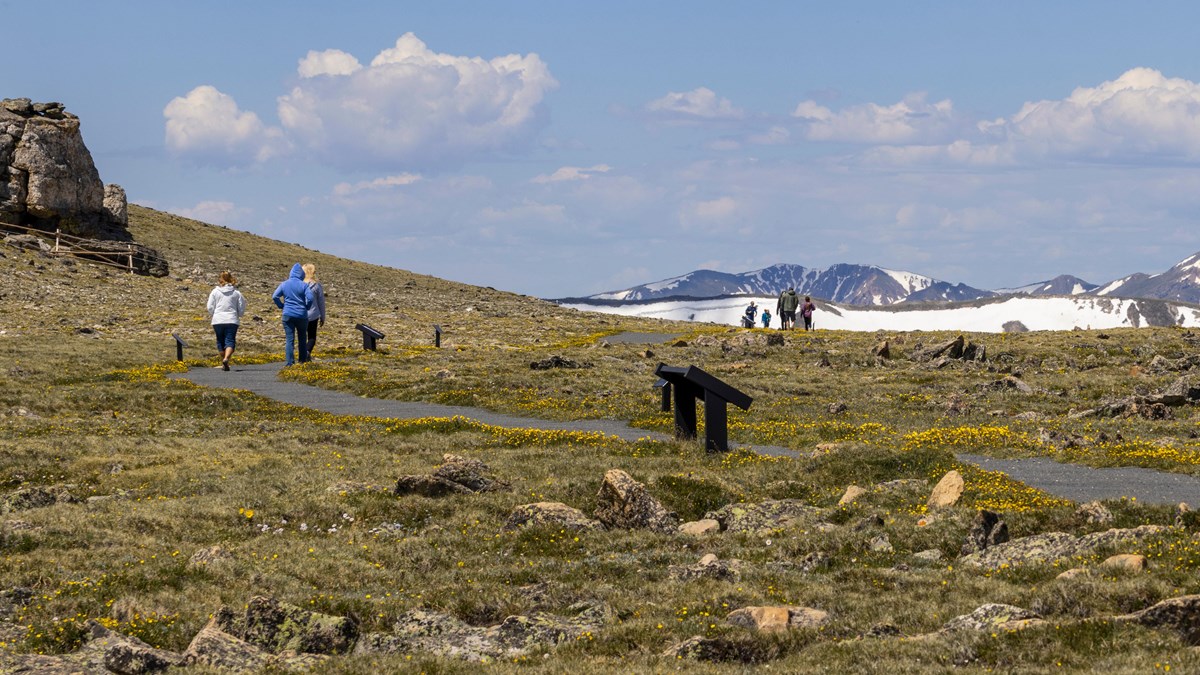 Visitors are hiking on the Alpine Communities Trail in July