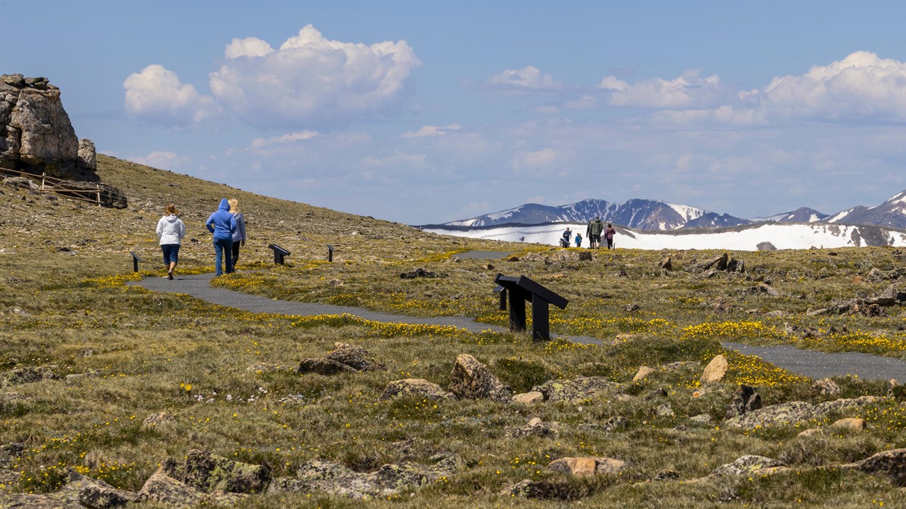 Visitors are hiking on the Tundra Communities Trail