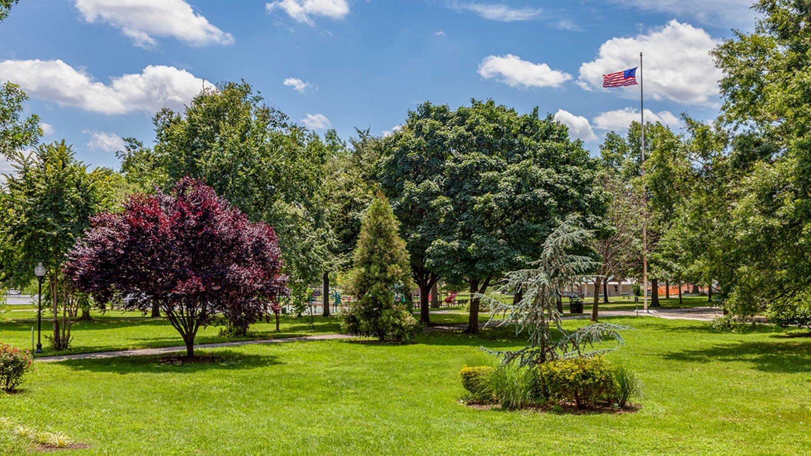 Flat grassy park with trees spread out, flag pole rises in the distance.