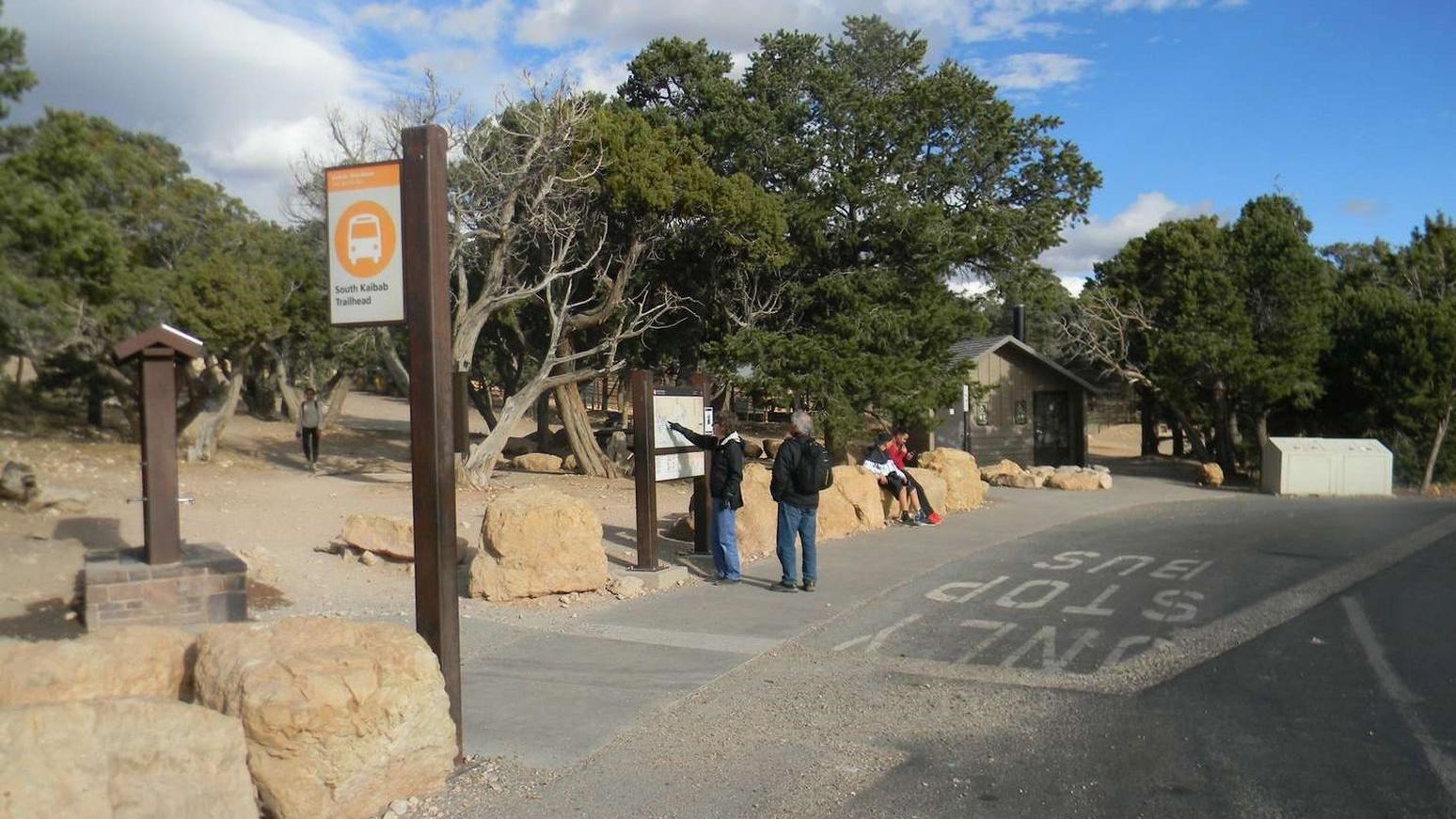 A person looks at a map next to a shuttle stop.