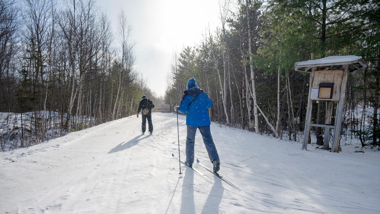 Two visitors cross country skiing on a groomed trail on a snowy day in the woods.