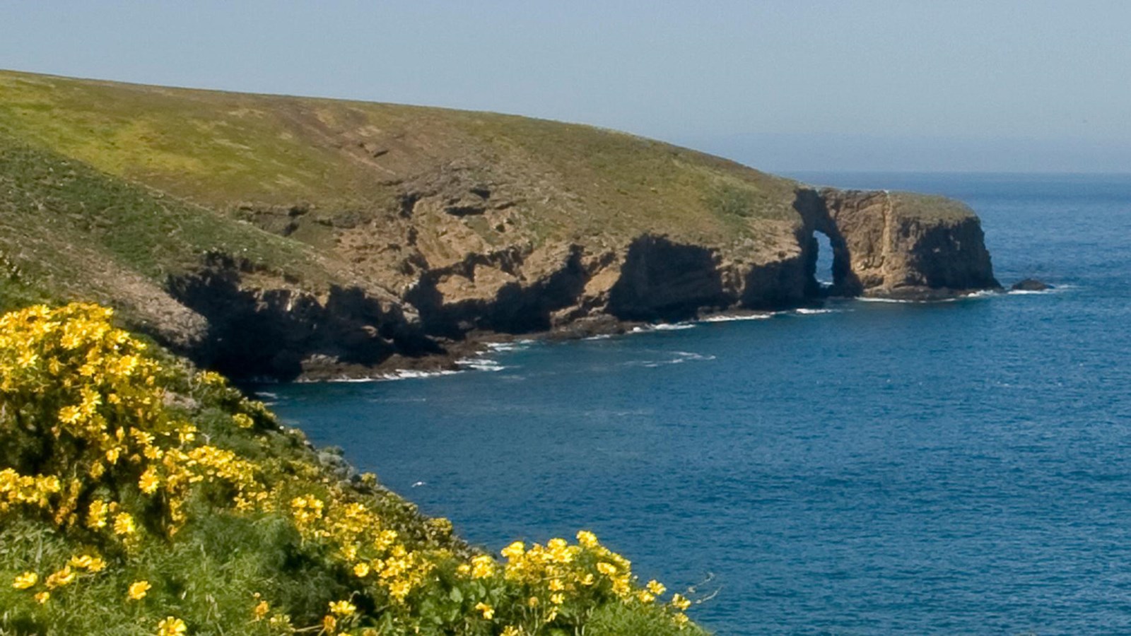 An arch in a steep sea cliff surrounded by green grass and yellow flowers. 