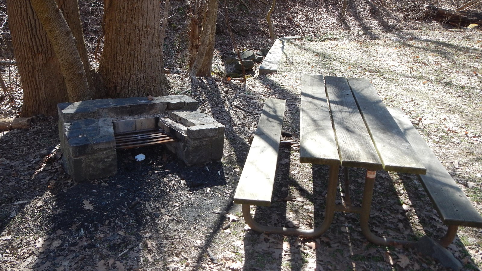 A picnic table and stone grill surrounded by trees