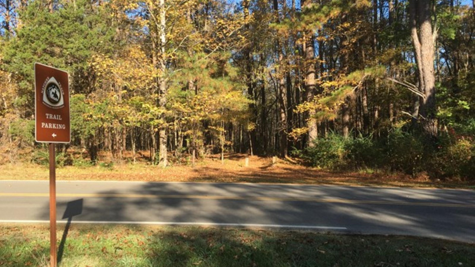 A wooded area with a small trail entrace.