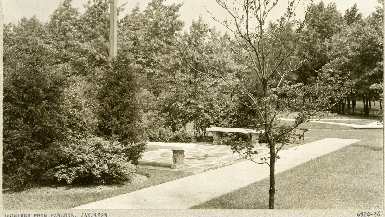 Black and white of flat path with grass on one side, trees on other, with two benches