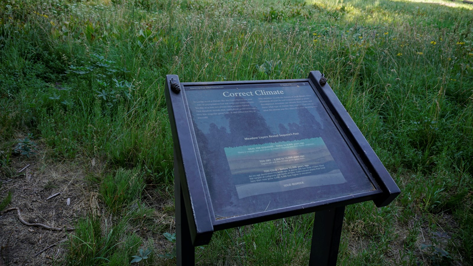 a metal panel has text and images on it informing visitors about giant sequoias and climate
