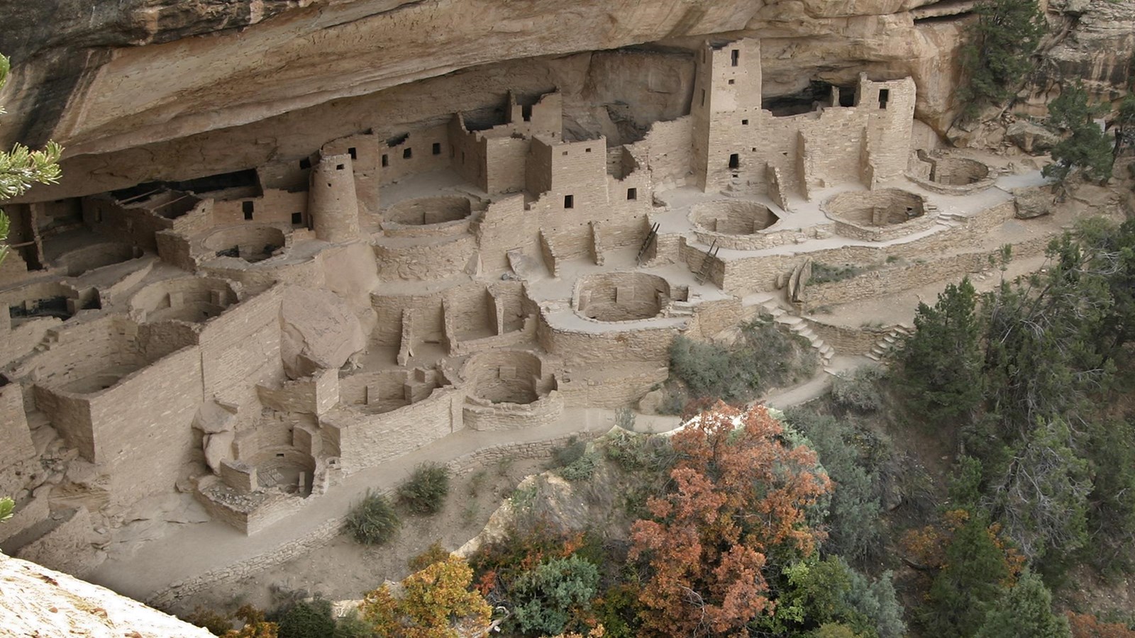 A view down at an ancestral stone-masonry village in a sandstone alcove surrounded by trees