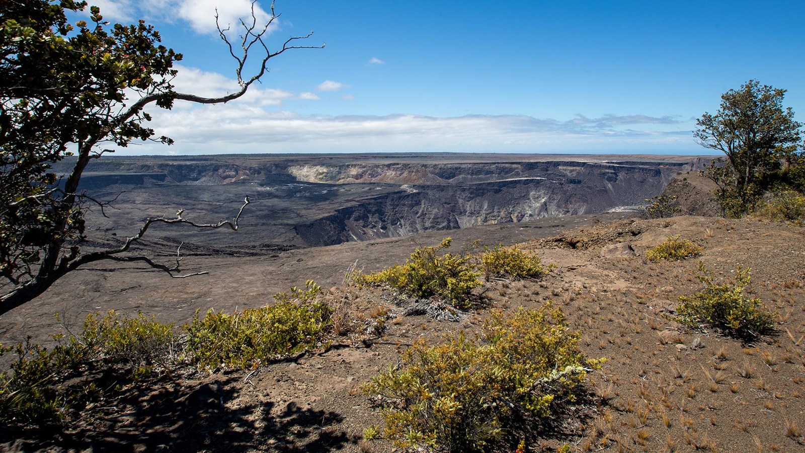 A deep crater within a volcanic caldera with a tree in the foreground