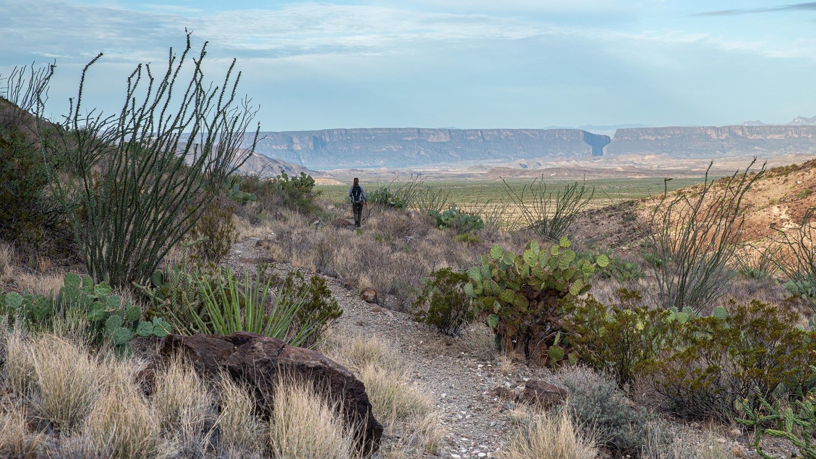 A hiker stops to look at the view of the desert floor and Santa Elena Canyon in the distance.