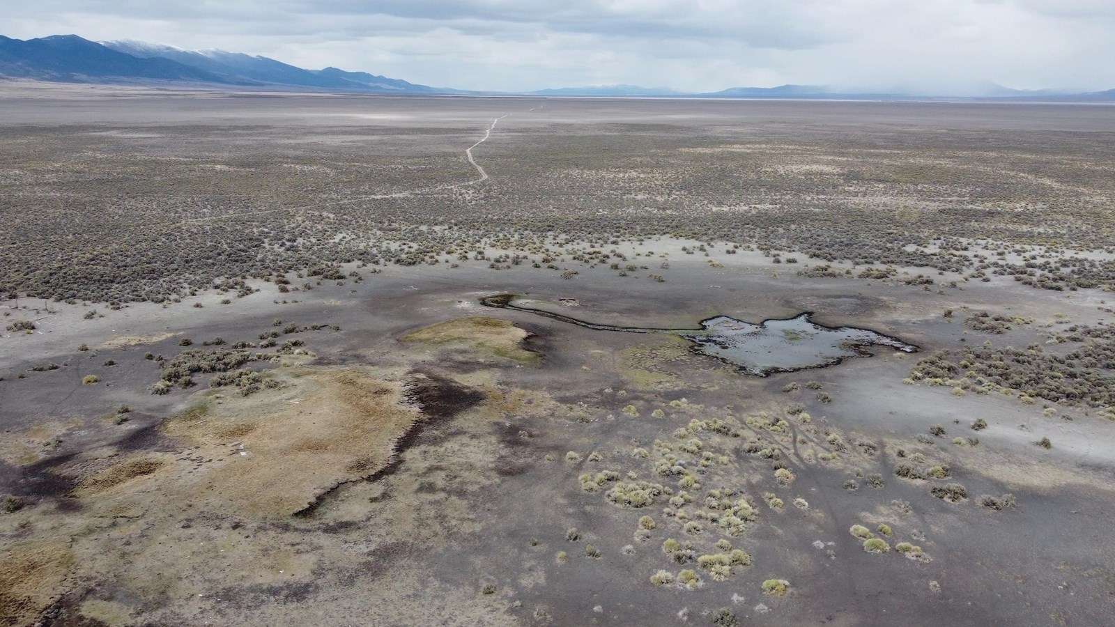 Drone view of a drying lakebed, sagebrush plain, spring pools, and an old road under gray clouds.