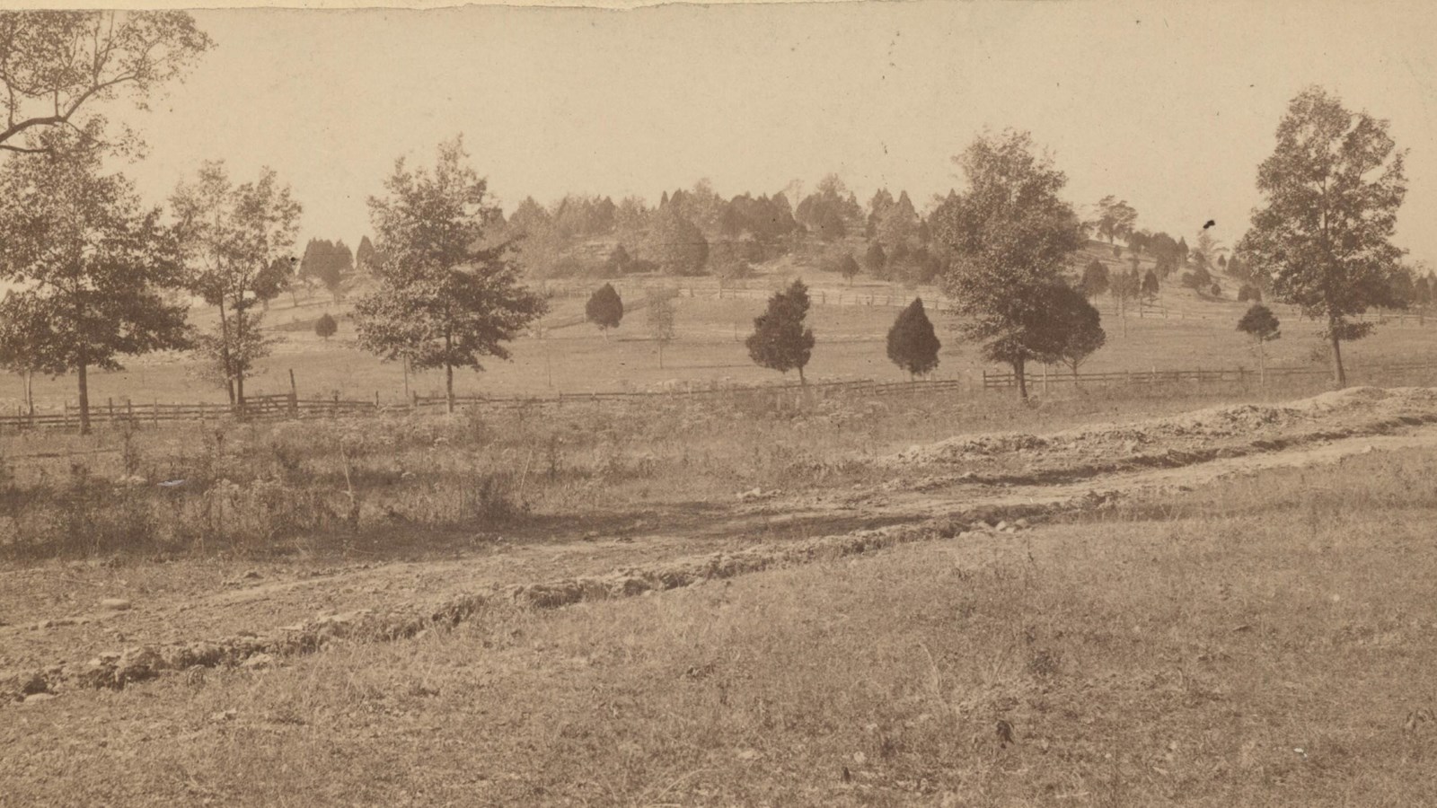 This image shows trees atop Orchard Knob in the 1880s.