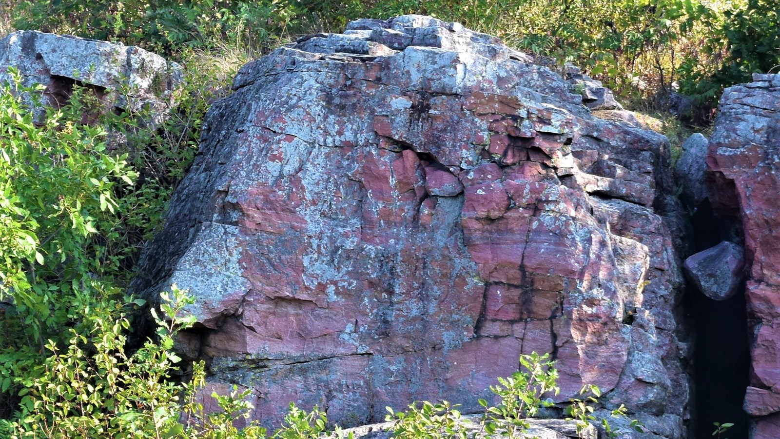 Stone feature resembling a face surrounded by trees.