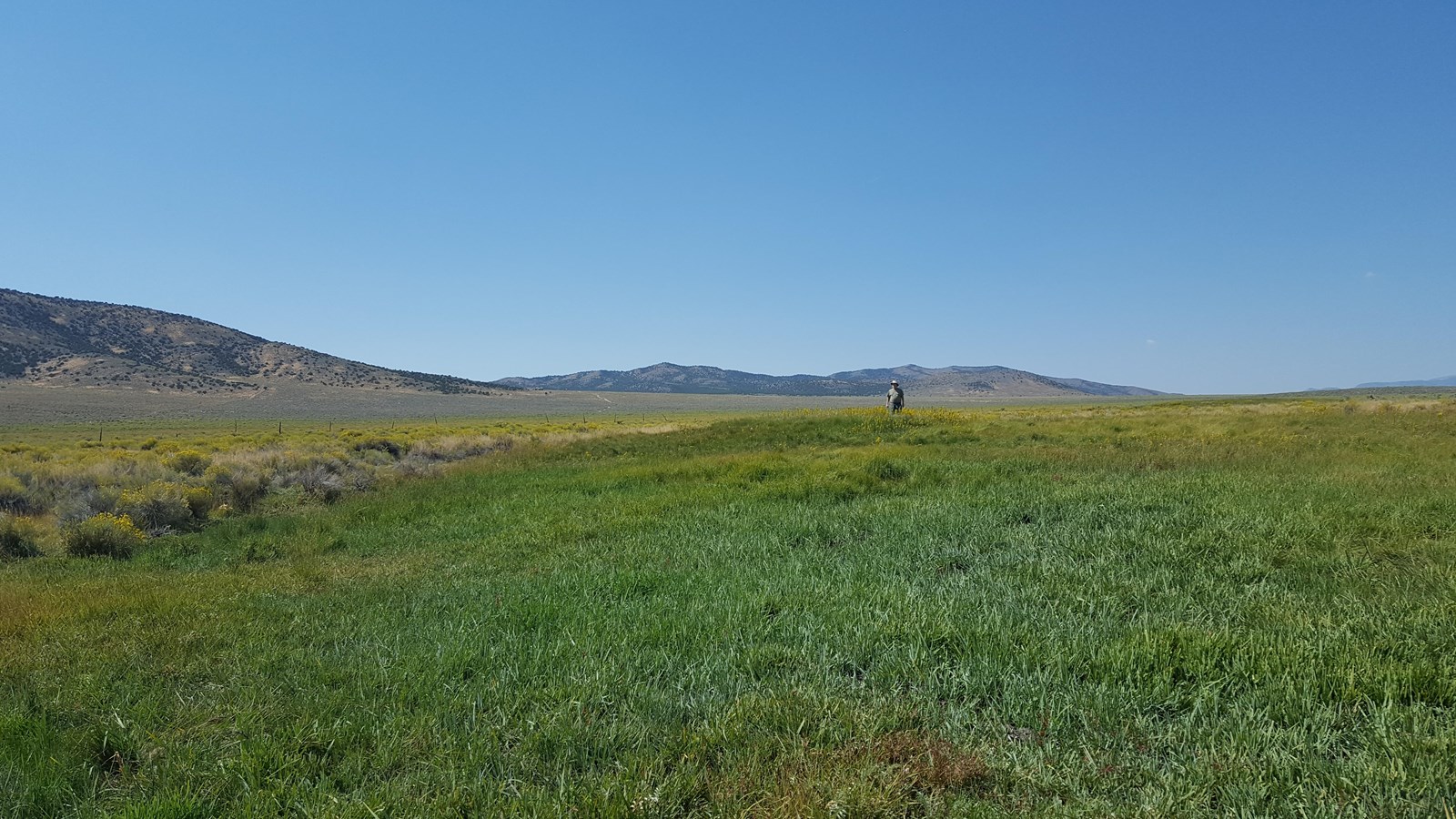 Green grass, yellow‑shrub berm, distant mountains, blue sky above.