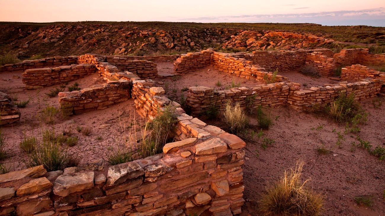 Archeological site with remnants of masonry walls in late afternoon light.