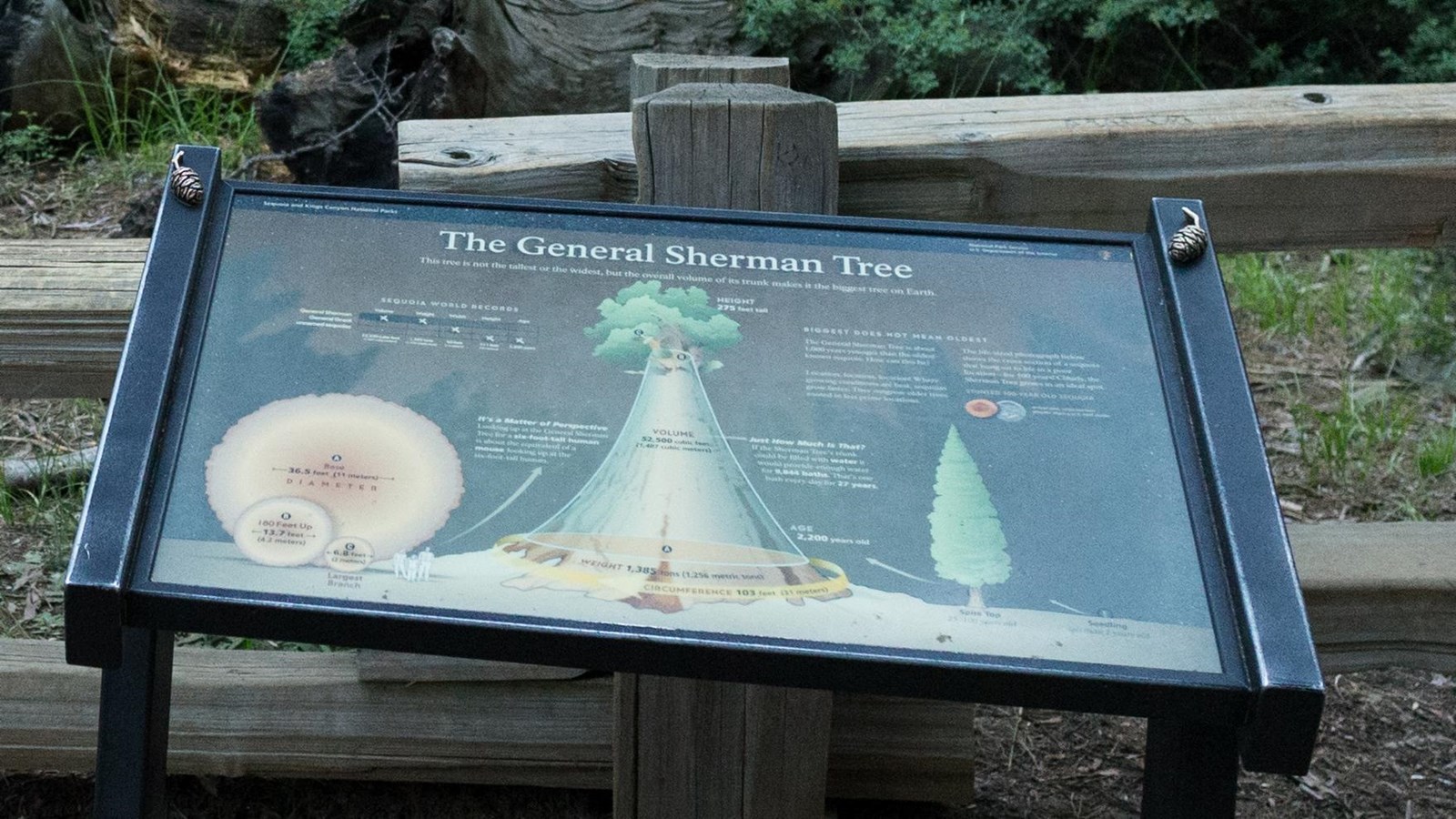 a metal panel has images and text on it informing visitors about the General Sherman Tree