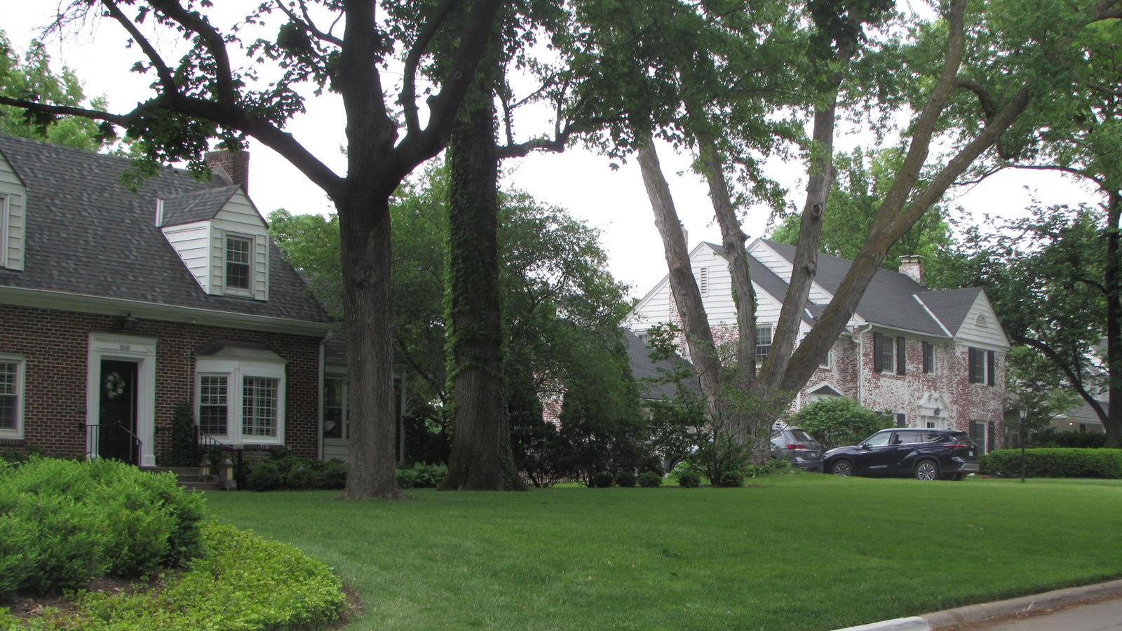 Historic homes with deep set backs, large treed lots, front winding neighborhood streets.