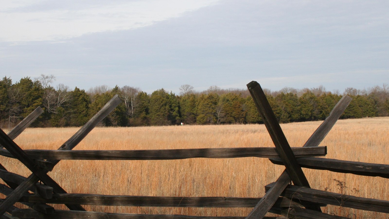 A snake rail fence stands in front of a field of tall brown grass.