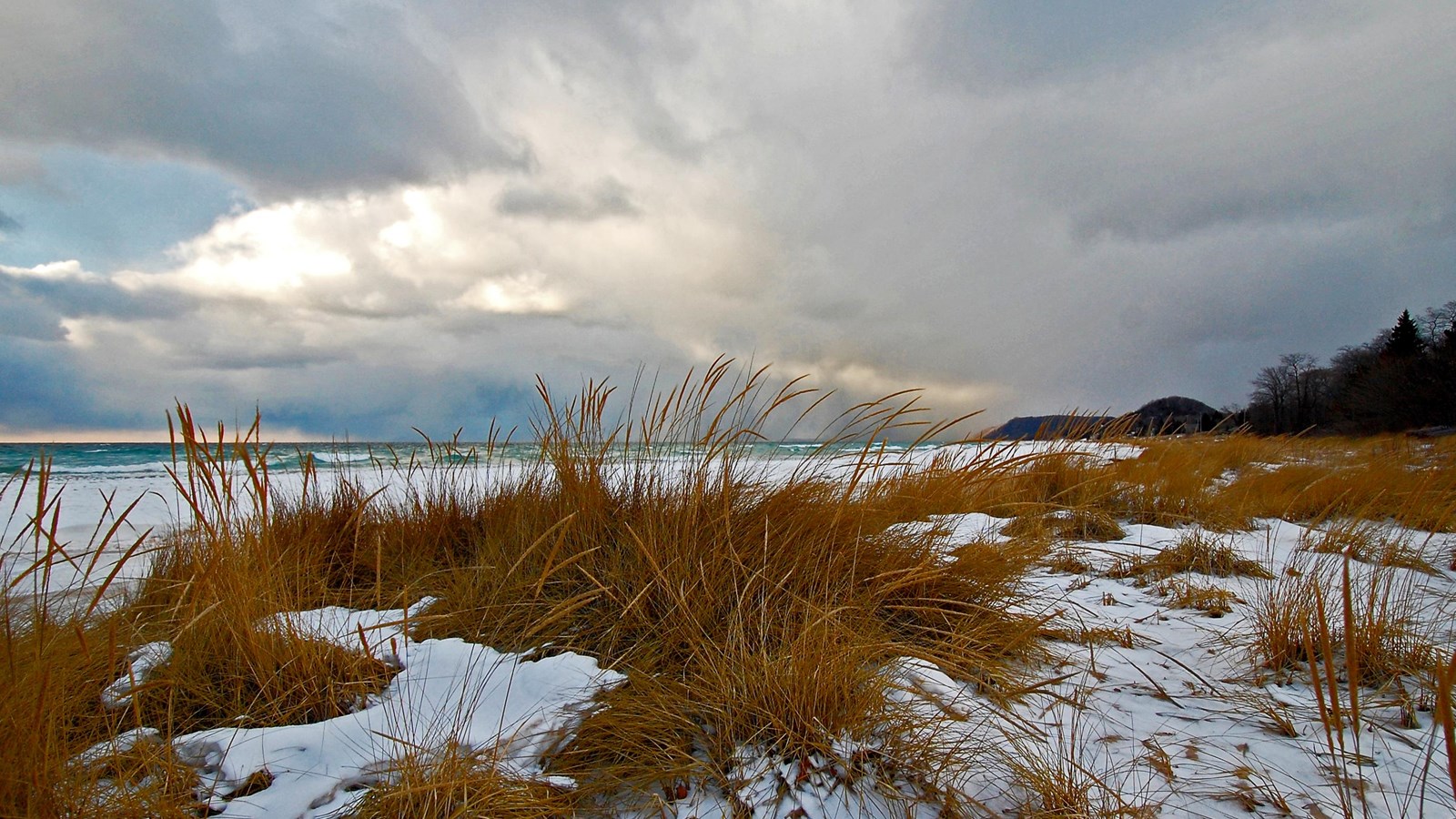 Clumps of dark orange beach grasses sit in snow with gray and pink clouds above