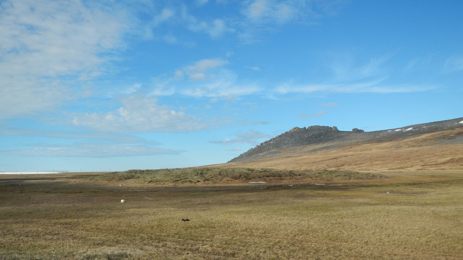 A grassy mound on the tundra with a black rock ridge on the horizon and a sunny sky.