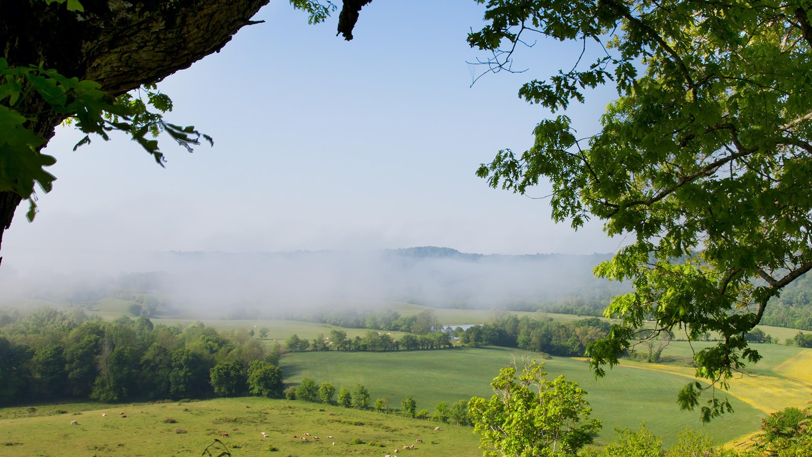 A scenic view of rural Tennessee with some low cloud coverage.