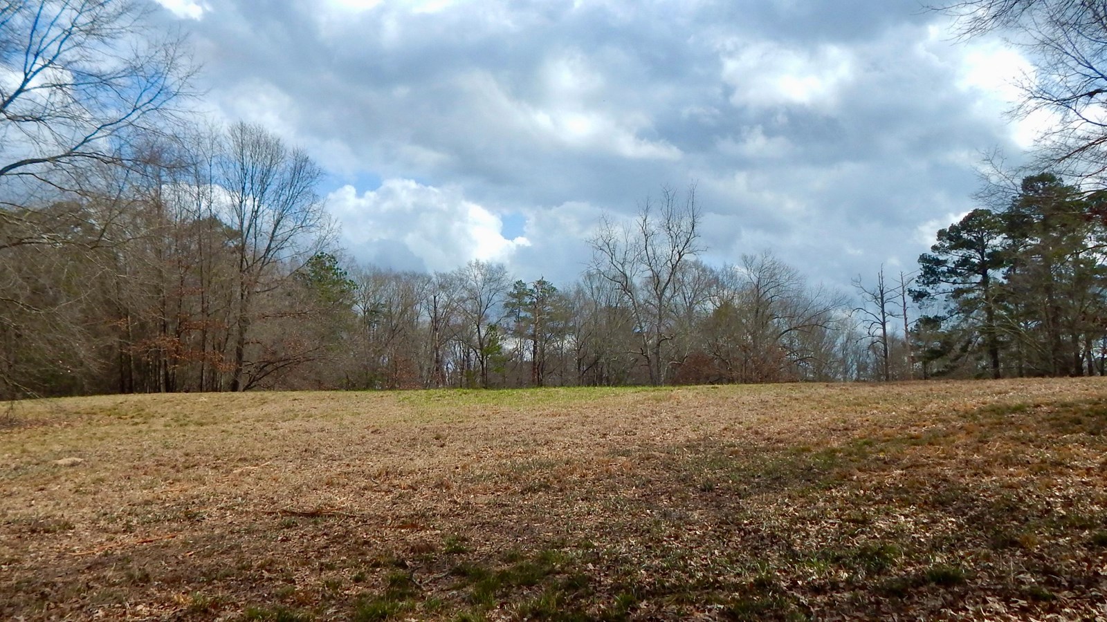 An open grassy area where a Mississippian mound once stood.