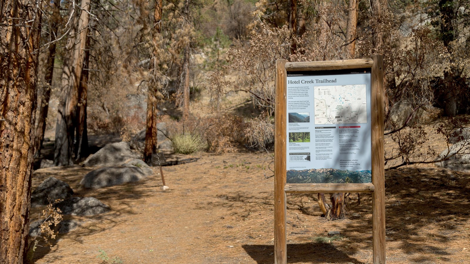 Trail through trees with burnt trunks with a trailhead sign in front