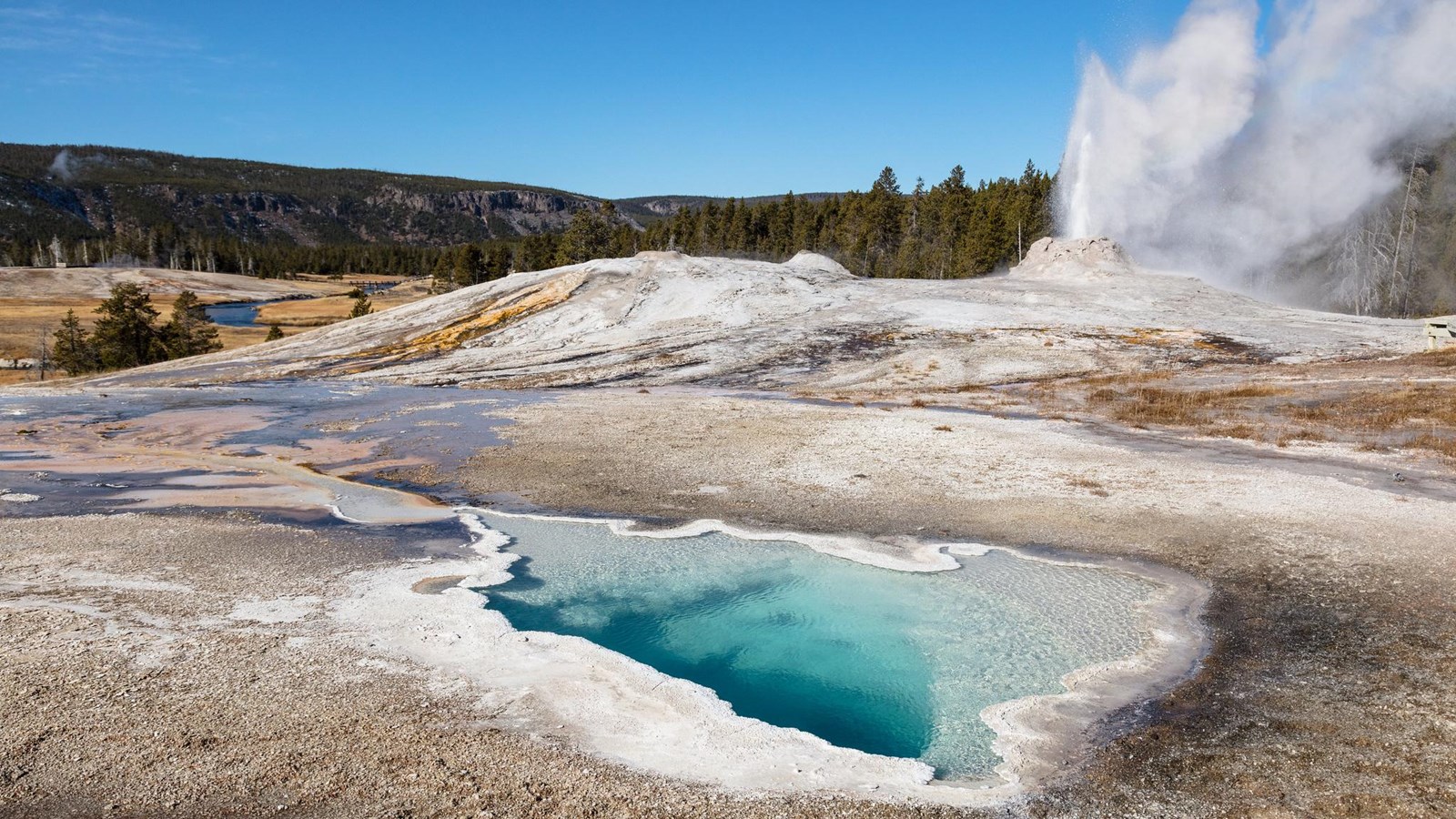 A small, blue hot spring sits in a thermal basin in front of a geyser erupting from a cone.