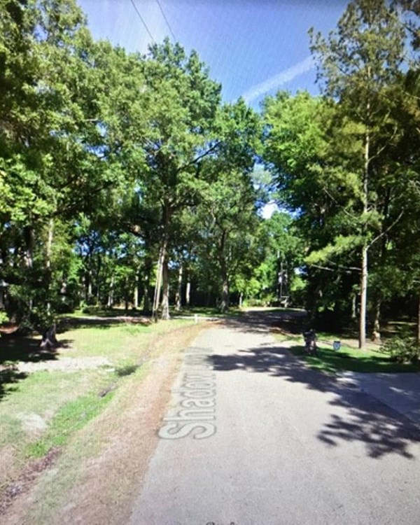 Paved lane entering woodland area