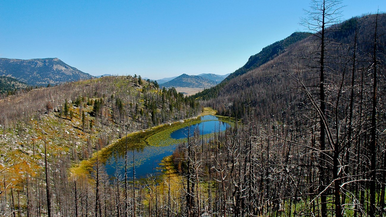 A view of Cub Lake in a burn area following the Fern Lake Fire