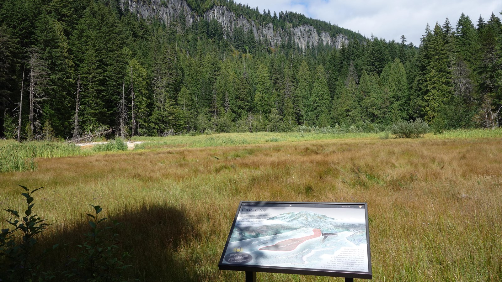 A wayside panel in a metal stand overlooks a meadow and forested ridge topped in steep cliffs.
