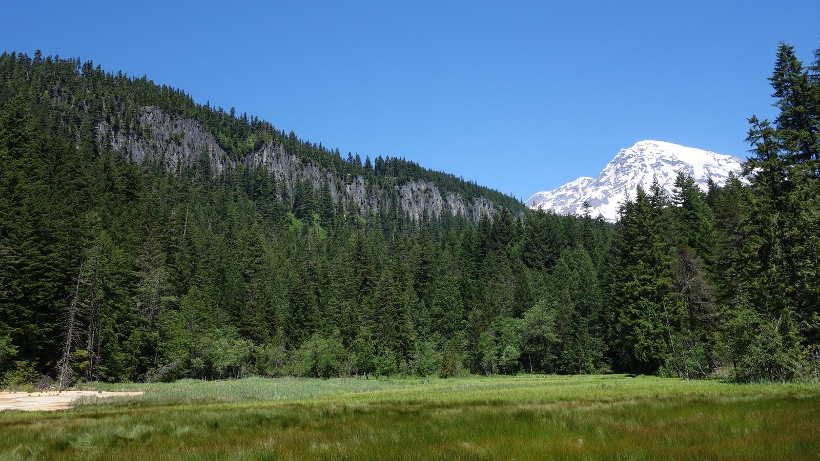 A glaciated mountain peak rises above a forested ridge and grassy meadow.