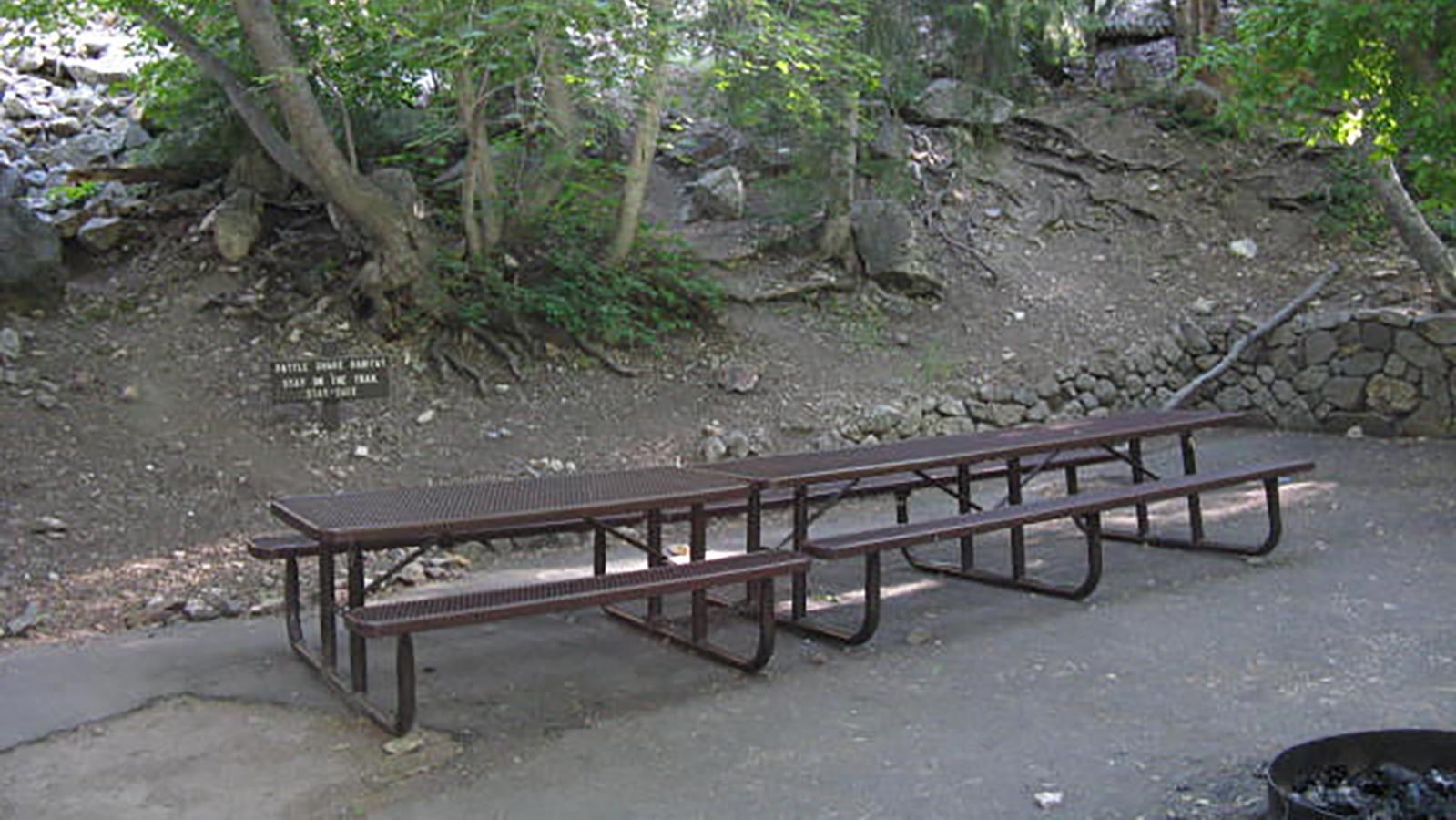 Two picnic tables