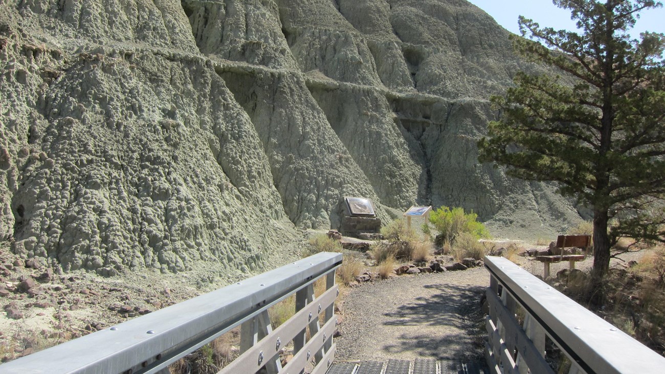 A metal bridge leads to blue-green claystones with a tree on the side.