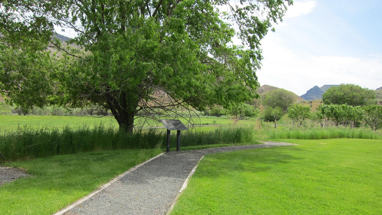 A gravel patch through a grassy area.