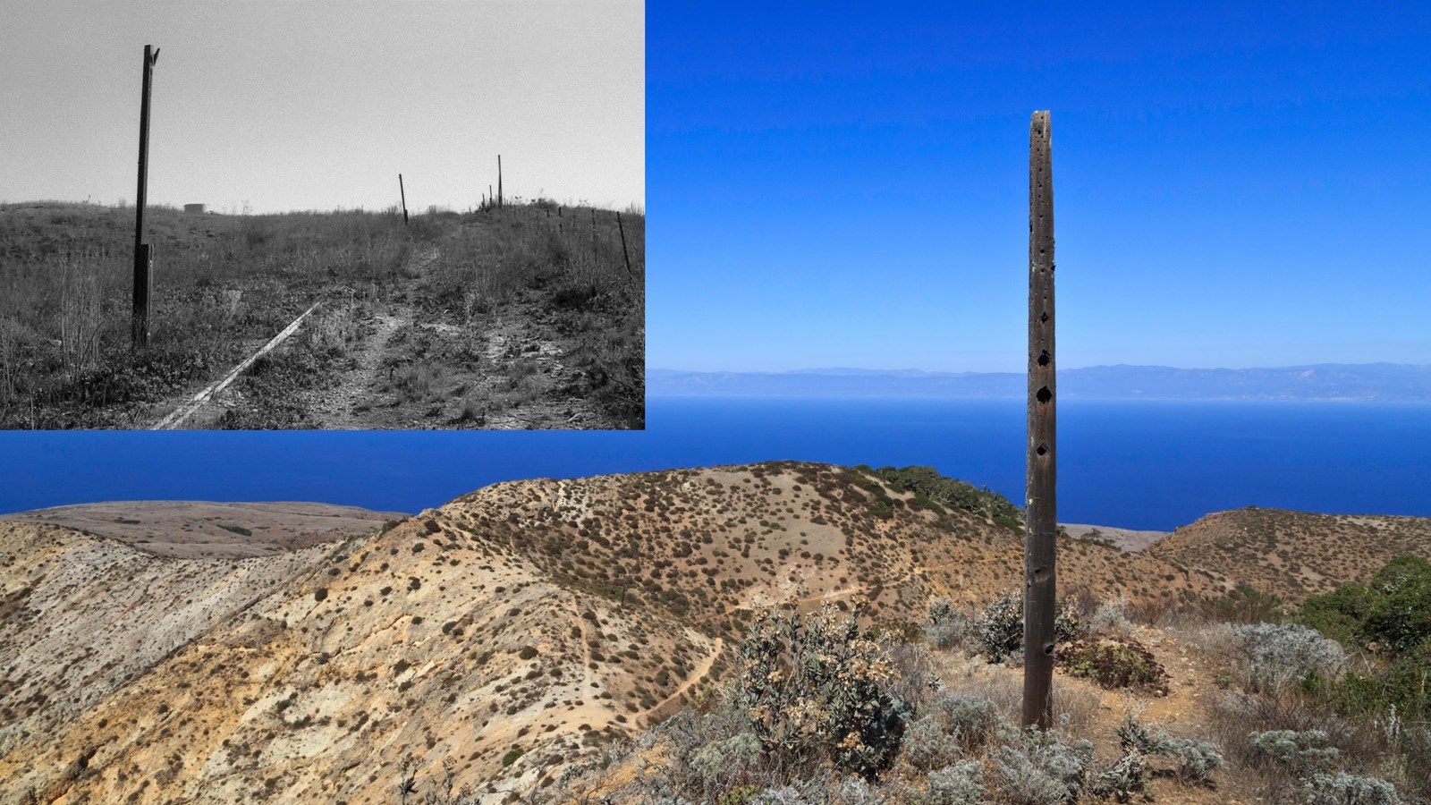 Telephone pole up on ridge with view of canyon below with trees, and islands and mainland coast