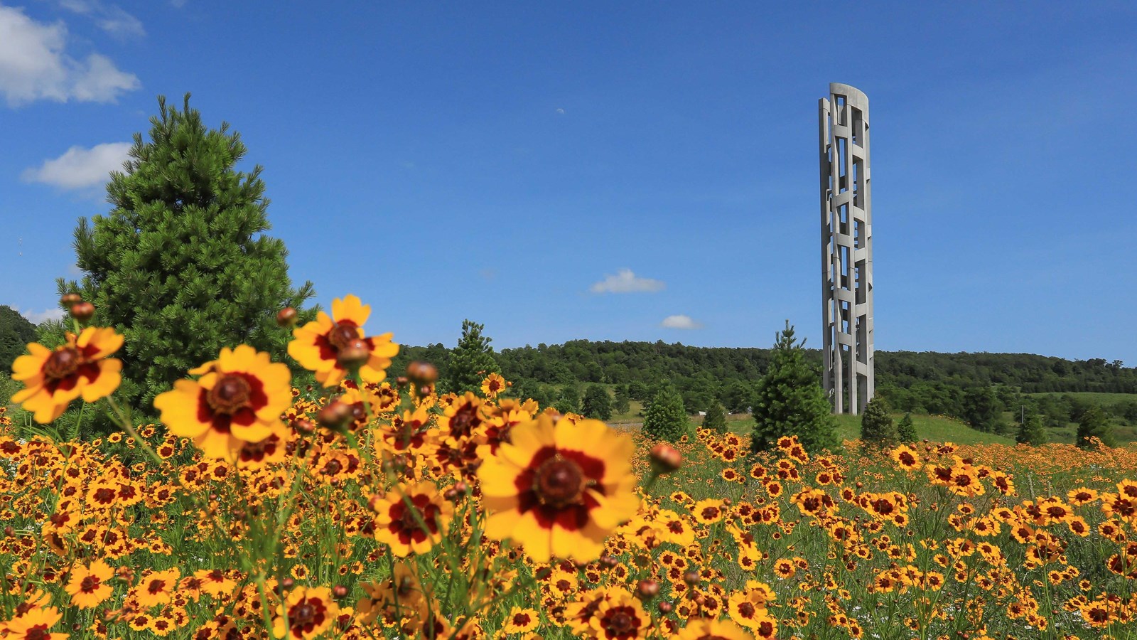 Tower in field of flowers.